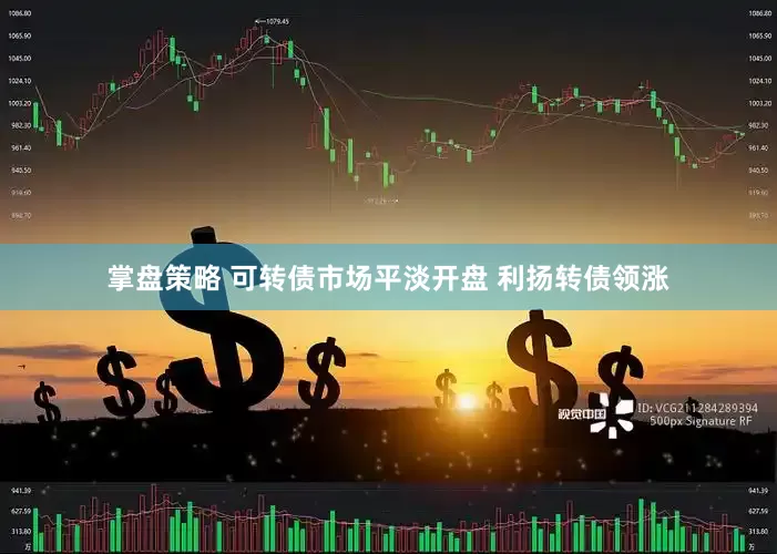 掌盘策略 可转债市场平淡开盘 利扬转债领涨
